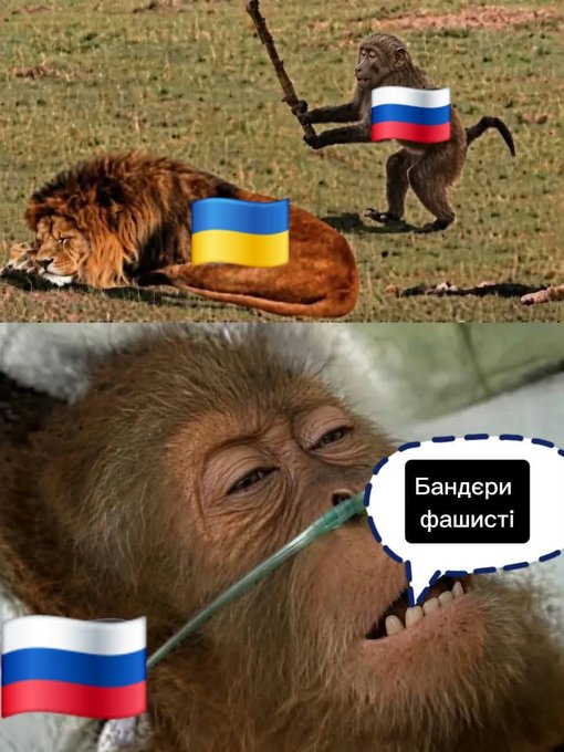 Нажмите на изображение для увеличения.

Название:	image.png
Просмотров:	13
Размер:	535.5 Кб
ID:	10815981