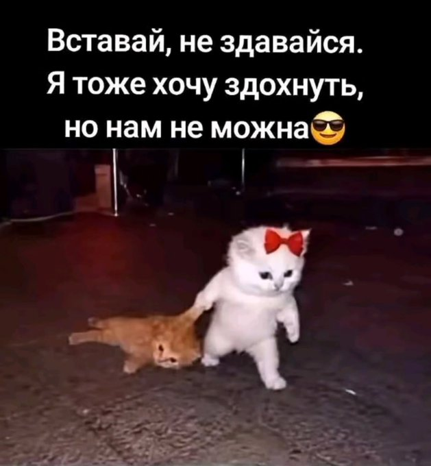 Нажмите на изображение для увеличения.

Название:	image.png
Просмотров:	0
Размер:	313.8 Кб
ID:	10816340