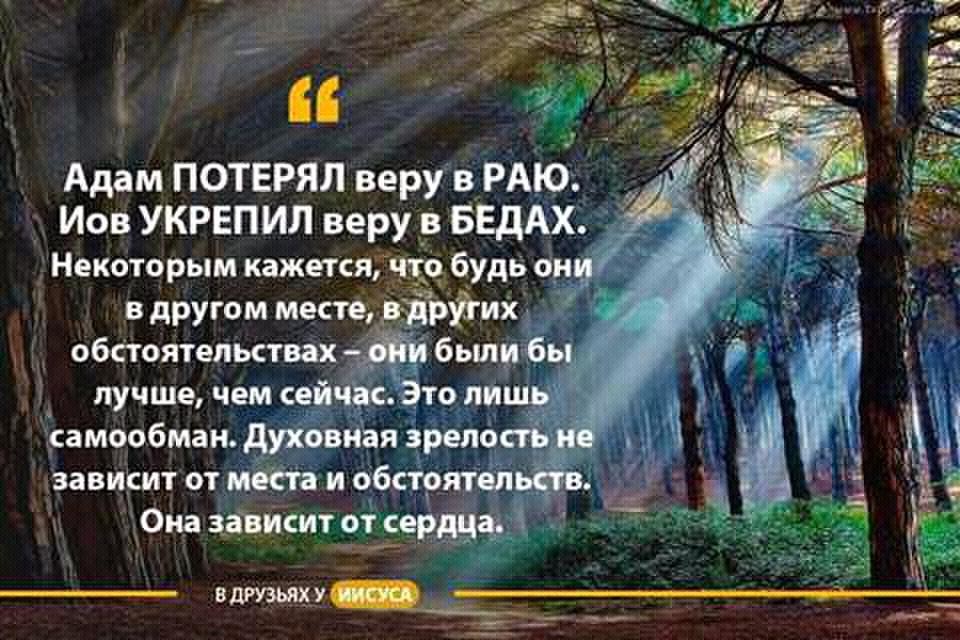Нажмите на изображение для увеличения.

Название:	125image (2).jpg
Просмотров:	1
Размер:	137.0 Кб
ID:	10136033
