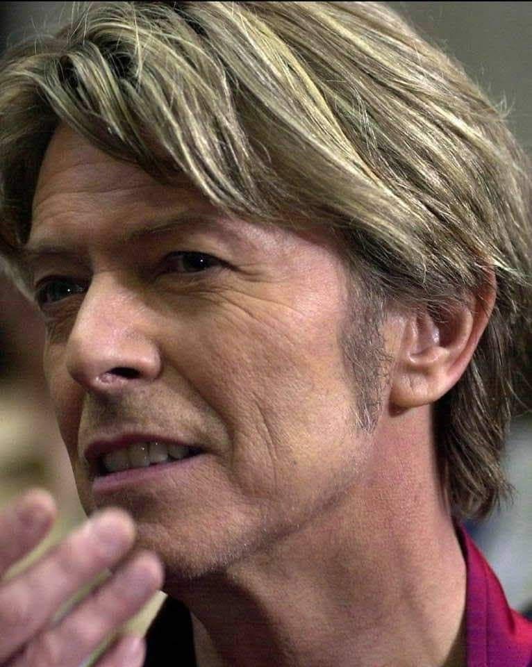 Нажмите на изображение для увеличения.

Название:	Bowie.jpg
Просмотров:	38
Размер:	140.9 Кб
ID:	10820747