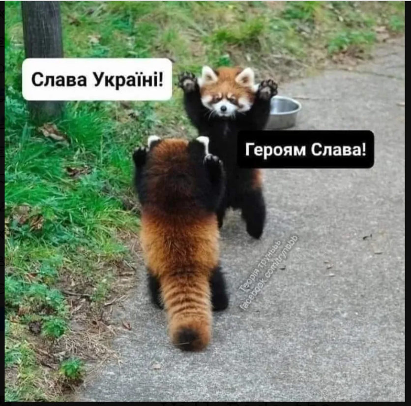 Нажмите на изображение для увеличения.

Название:	image.png
Просмотров:	19
Размер:	1,011.1 Кб
ID:	10821790