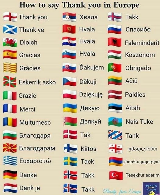 Нажмите на изображение для увеличения.

Название:	image.png
Просмотров:	35
Размер:	499.8 Кб
ID:	10822248