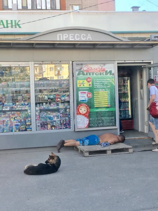 Нажмите на изображение для увеличения.

Название:	image.png
Просмотров:	17
Размер:	453.5 Кб
ID:	10826060