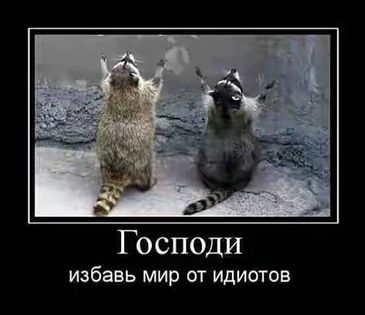 Нажмите на изображение для увеличения.

Название:	господи избавь мир от идиотов.jpg
Просмотров:	1
Размер:	18.3 Кб
ID:	10157317