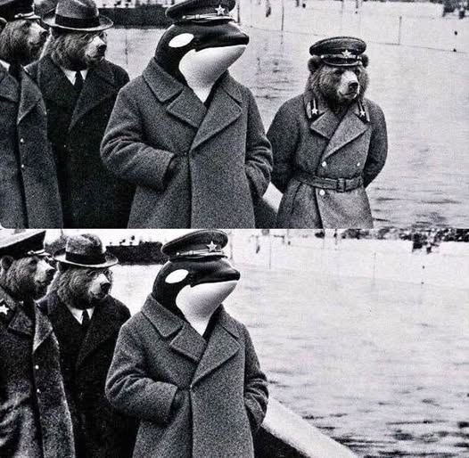 Нажмите на изображение для увеличения.

Название:	image.png
Просмотров:	29
Размер:	427.0 Кб
ID:	10827669