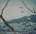 Нажмите на изображение для увеличения.

Название:	ufo.jpg
Просмотров:	37
Размер:	22.6 Кб
ID:	10106190