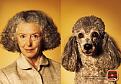 Нажмите на изображение для увеличения.

Название:	Dog&amp;amp;People1.jpeg
Просмотров:	83
Размер:	39.3 Кб
ID:	10106536