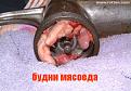 Нажмите на изображение для увеличения.

Название:	f465552d3bdb.jpg
Просмотров:	49
Размер:	96.9 Кб
ID:	10107990