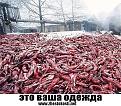 Нажмите на изображение для увеличения.

Название:	055720677949.jpg
Просмотров:	43
Размер:	94.3 Кб
ID:	10107997