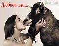 Нажмите на изображение для увеличения.

Название:	a_217.jpg
Просмотров:	59
Размер:	33.1 Кб
ID:	10108050