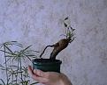 Нажмите на изображение для увеличения.

Название:	Изображение 011.jpg
Просмотров:	25
Размер:	16.5 Кб
ID:	10108129