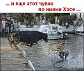 Нажмите на изображение для увеличения.

Название:	water_03.jpg
Просмотров:	397
Размер:	65.4 Кб
ID:	10108459