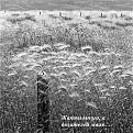 Нажмите на изображение для увеличения.

Название:	жатва готова.jpg
Просмотров:	75
Размер:	104.5 Кб
ID:	10108513