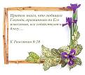 Нажмите на изображение для увеличения.

Название:	рамочка ирисы66.jpg
Просмотров:	69
Размер:	50.0 Кб
ID:	10108534