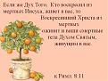 Нажмите на изображение для увеличения.

Название:	мандарины.jpg
Просмотров:	37
Размер:	54.0 Кб
ID:	10108622