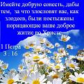 Нажмите на изображение для увеличения.

Название:	ромашки горные 5.JPG
Просмотров:	56
Размер:	68.0 Кб
ID:	10108633