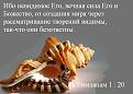 Нажмите на изображение для увеличения.

Название:	Ракушка 25.JPG
Просмотров:	63
Размер:	47.5 Кб
ID:	10108634