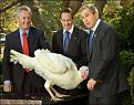 Нажмите на изображение для увеличения.

Название:	bush_turkey.jpg
Просмотров:	59
Размер:	26.9 Кб
ID:	10108693