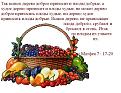 Нажмите на изображение для увеличения.

Название:	Худое дернево.jpg
Просмотров:	35
Размер:	50.6 Кб
ID:	10109948