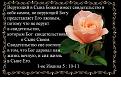 Нажмите на изображение для увеличения.

Название:	Роза на черном 888.jpg
Просмотров:	40
Размер:	59.3 Кб
ID:	10109966