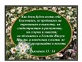 Нажмите на изображение для увеличения.

Название:	Римлянам .....jpg
Просмотров:	39
Размер:	95.4 Кб
ID:	10110014