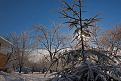 Нажмите на изображение для увеличения.

Название:	CRW_2760.1_resize.jpg
Просмотров:	79
Размер:	107.4 Кб
ID:	10110025