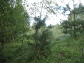 Нажмите на изображение для увеличения.

Название:	Копия PICT5905.gif
Просмотров:	11
Размер:	96.6 Кб
ID:	10110035