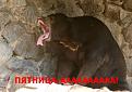 Нажмите на изображение для увеличения.

Название:	101711_138109.jpg
Просмотров:	21
Размер:	36.9 Кб
ID:	10110081
