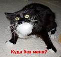 Нажмите на изображение для увеличения.

Название:	101711_138108.jpg
Просмотров:	36
Размер:	39.0 Кб
ID:	10110087