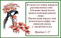 Нажмите на изображение для увеличения.

Название:	Птички..и сеть.jpg
Просмотров:	35
Размер:	85.2 Кб
ID:	10110141