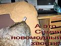 Нажмите на изображение для увеличения.

Название:	Симин хвостик.jpg
Просмотров:	37
Размер:	76.4 Кб
ID:	10110178