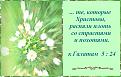 Нажмите на изображение для увеличения.

Название:	Распяли.jpg
Просмотров:	38
Размер:	58.6 Кб
ID:	10110195