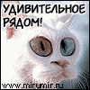 Нажмите на изображение для увеличения.

Название:	av152479zb.gif
Просмотров:	40
Размер:	5.1 Кб
ID:	10110311