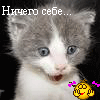 Нажмите на изображение для увеличения.

Название:	3922.gif
Просмотров:	145
Размер:	12.6 Кб
ID:	10110462