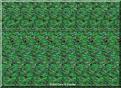 Нажмите на изображение для увеличения.

Название:	green.jpg
Просмотров:	299
Размер:	55.7 Кб
ID:	10110794