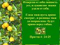 Нажмите на изображение для увеличения.

Название:	Лимоны - плоды....jpg
Просмотров:	43
Размер:	66.5 Кб
ID:	10110882