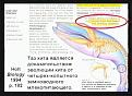 Нажмите на изображение для увеличения.

Название:	кит2.jpg
Просмотров:	47
Размер:	92.6 Кб
ID:	10110952