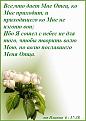 Нажмите на изображение для увеличения.

Название:	от Иоанна......jpg
Просмотров:	45
Размер:	35.0 Кб
ID:	10110956