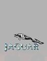 Нажмите на изображение для увеличения.

Название:	PG avtos jaguar.jpg
Просмотров:	16
Размер:	4.6 Кб
ID:	10110998