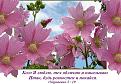 Нажмите на изображение для увеличения.

Название:	кого люблю.....jpg
Просмотров:	43
Размер:	86.5 Кб
ID:	10111050