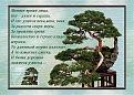 Нажмите на изображение для увеличения.

Название:	Сверх меры.....jpg
Просмотров:	40
Размер:	138.5 Кб
ID:	10111142