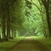 Нажмите на изображение для увеличения.

Название:	0103.jpg
Просмотров:	61
Размер:	4.5 Кб
ID:	10113003