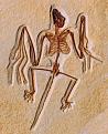 Нажмите на изображение для увеличения.

Название:	ancientBat.jpg
Просмотров:	9
Размер:	68.2 Кб
ID:	10117470