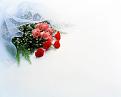 Нажмите на изображение для увеличения.

Название:	International_Womens_Day_Flowers_of_love_014512_.jpg
Просмотров:	17
Размер:	43.8 Кб
ID:	10118351