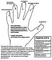 Нажмите на изображение для увеличения.

Название:	5ministry-1.jpg
Просмотров:	68
Размер:	145.1 Кб
ID:	10118791