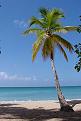 Нажмите на изображение для увеличения.

Название:	275px-1859-Martinique_web.jpg
Просмотров:	13
Размер:	20.6 Кб
ID:	10118804