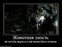 Нажмите на изображение для увеличения.

Название:	Kostina liubov?.JPG
Просмотров:	14
Размер:	46.9 Кб
ID:	10118971