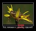 Нажмите на изображение для увеличения.

Название:	zhaba.jpg
Просмотров:	185
Размер:	38.8 Кб
ID:	10119596