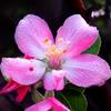 Нажмите на изображение для увеличения.

Название:	spring_on_earth_by_birthstone-d3c15xg.jpg
Просмотров:	37
Размер:	3.1 Кб
ID:	10119807