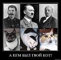 Нажмите на изображение для увеличения.

Название:	коты.jpg
Просмотров:	46
Размер:	28.4 Кб
ID:	10120510